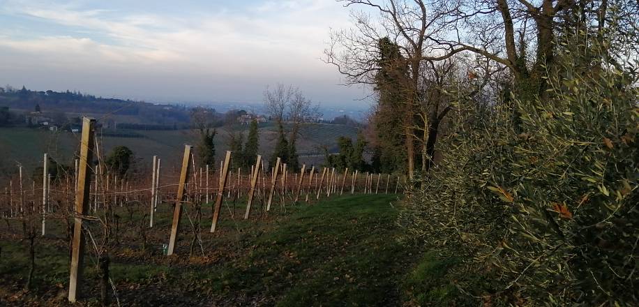 Domenica 10 aprile – faenza (ra): un pomeriggio tra cantine e colline